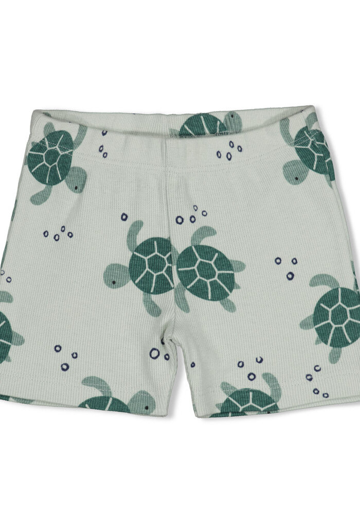 Feetje Timmy Turtle - Premium Summerwear by Feetje Mint