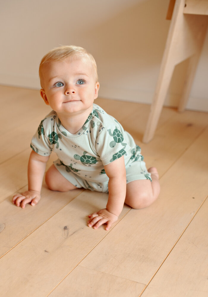 Feetje Timmy Turtle - Premium Summerwear by Feetje Mint