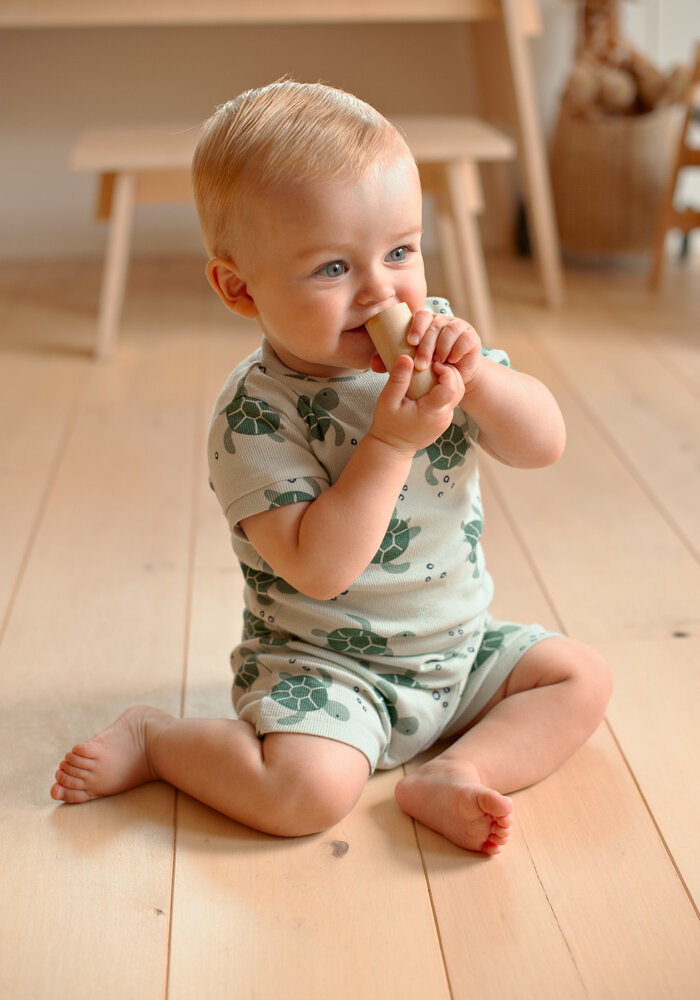 Feetje Timmy Turtle - Premium Summerwear by Feetje Mint