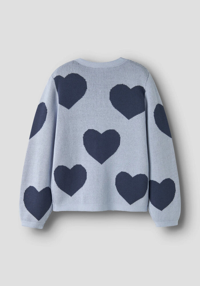 Name It NKFLIANAX LS KNIT CARD Subdued Blue