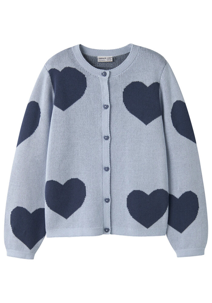 Name It NKFLIANAX LS KNIT CARD Subdued Blue