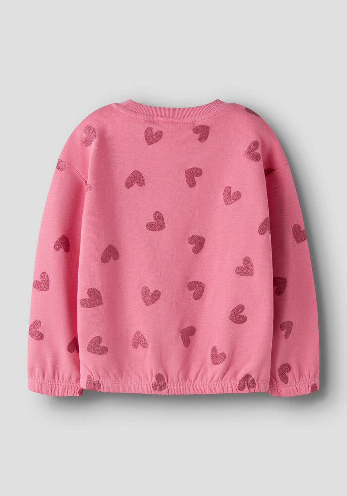 Name It NMFVILUBA LS NREG SWEAT UNB Flowering Ginger Glitter Hearts