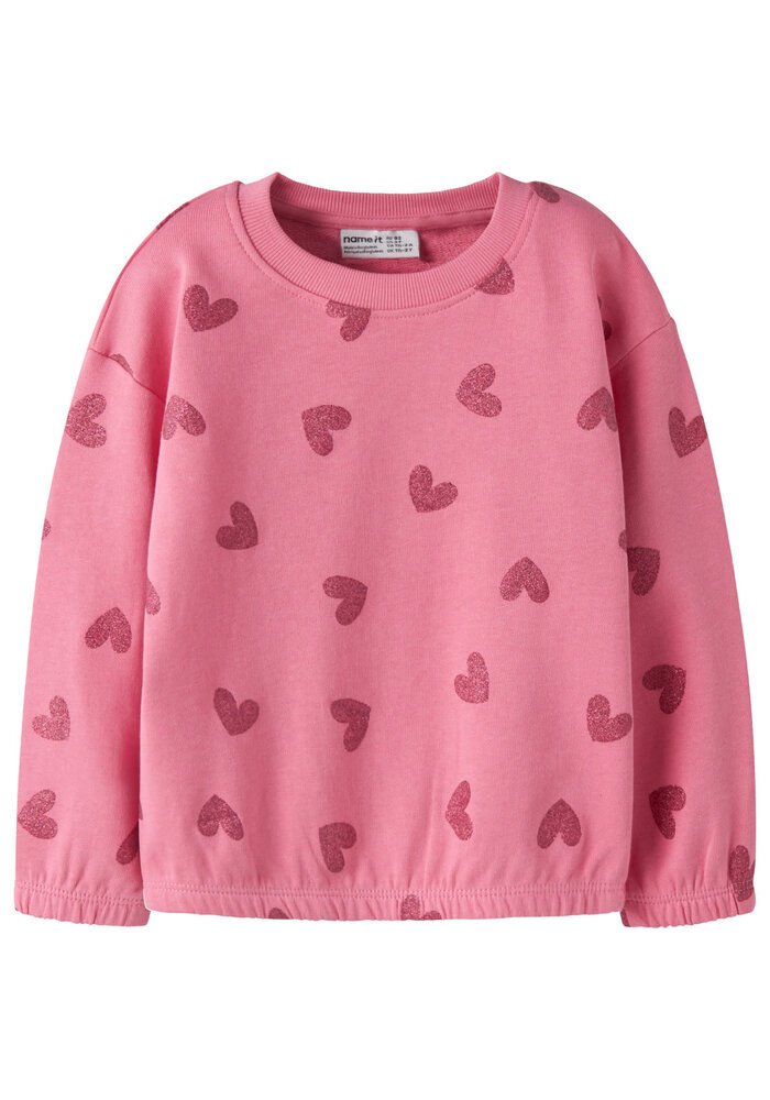 Name It NMFVILUBA LS NREG SWEAT UNB Flowering Ginger Glitter Hearts