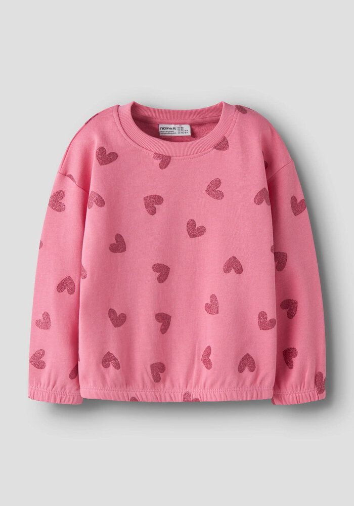 Name It NMFVILUBA LS NREG SWEAT UNB Flowering Ginger Glitter Hearts