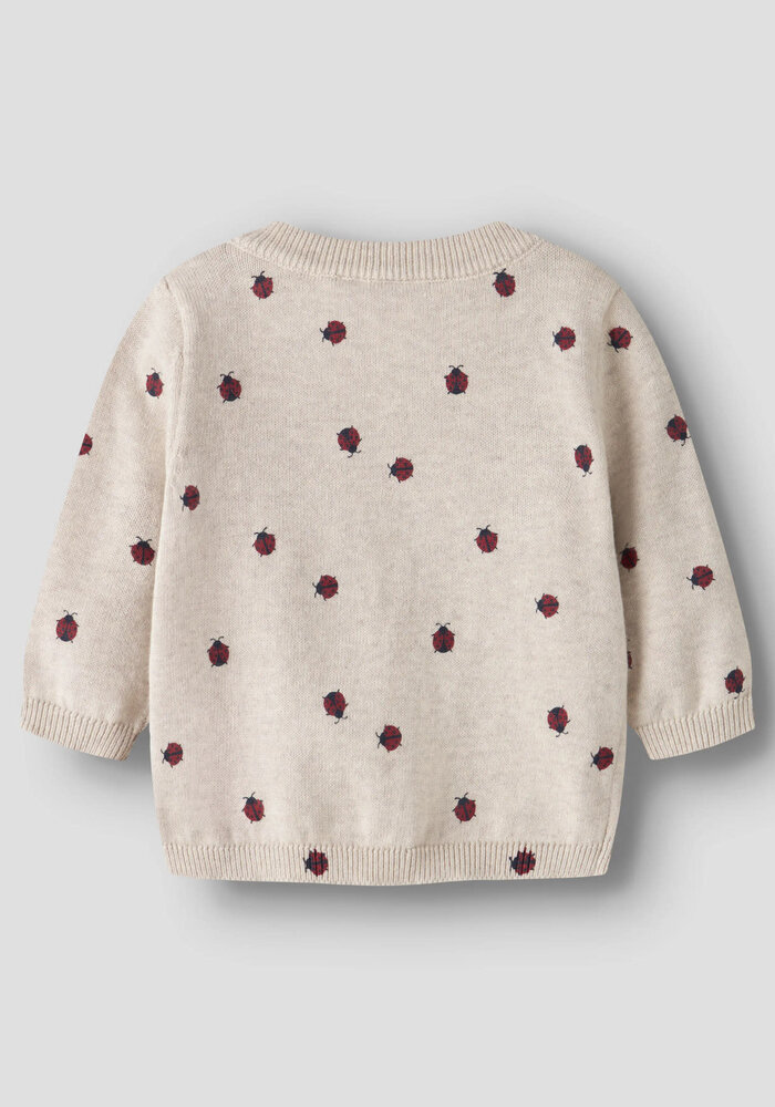 Name It NBFKIKKI LS KNIT CARD BOX Peyote Melange