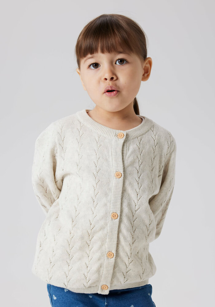 Name It NMFBANNI LS KNIT CARD NOOS Peyote Melange