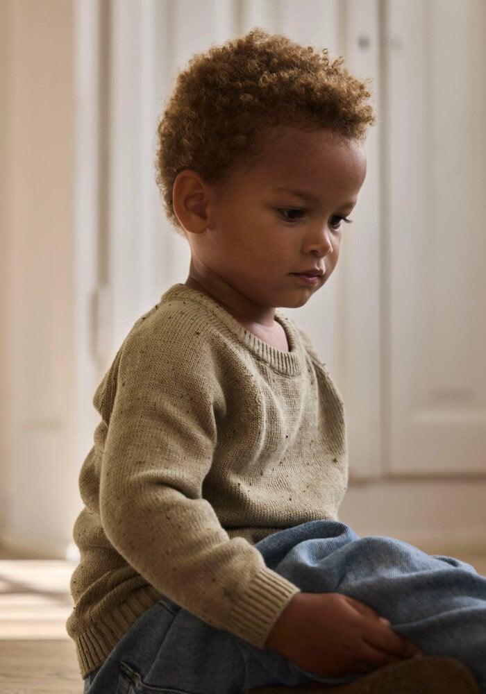 Lil' Atelier NMNGALTO FAN LS KNIT LIL Twill