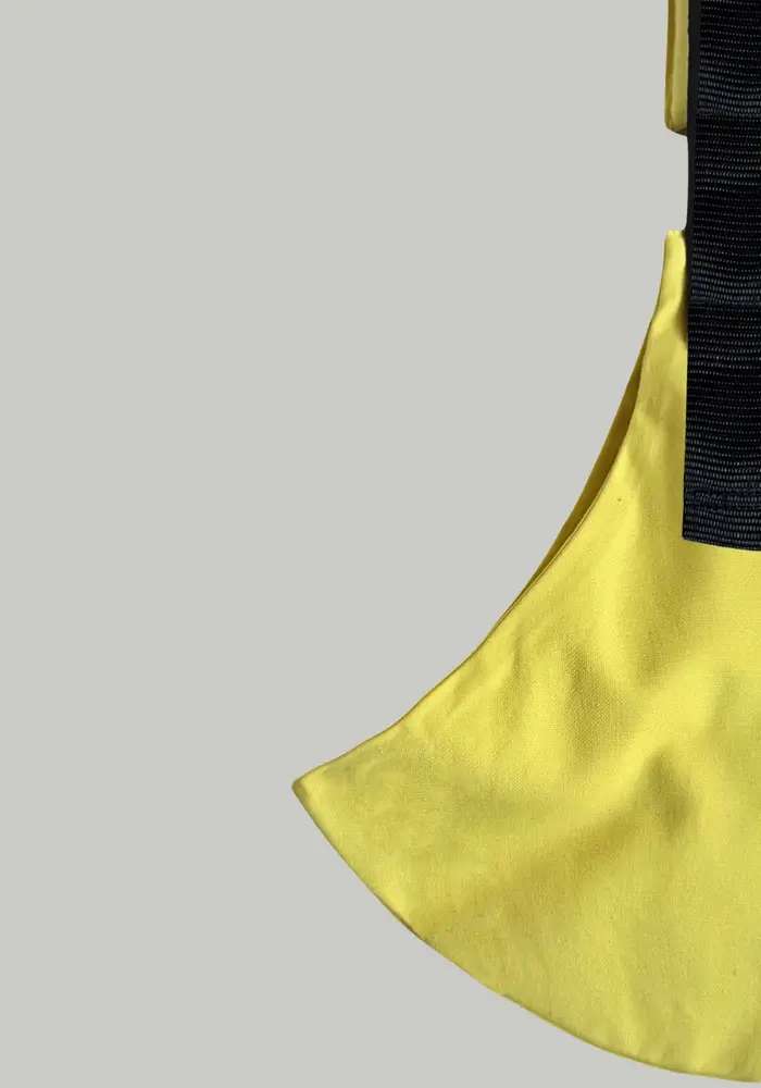 Wildride Lemon Carrier