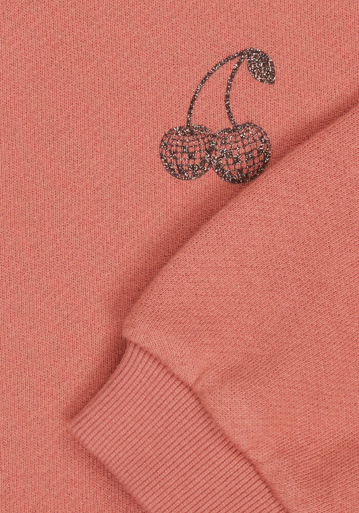 Tumble 'N Dry Mila canyon rose