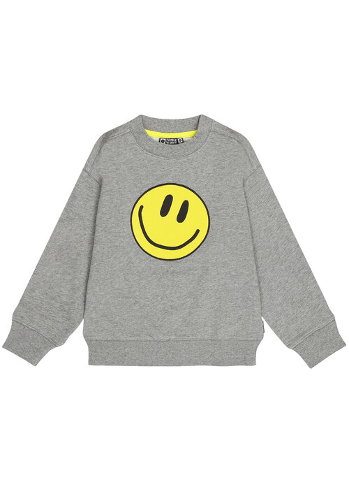 Tumble 'N Dry Briston grey melange