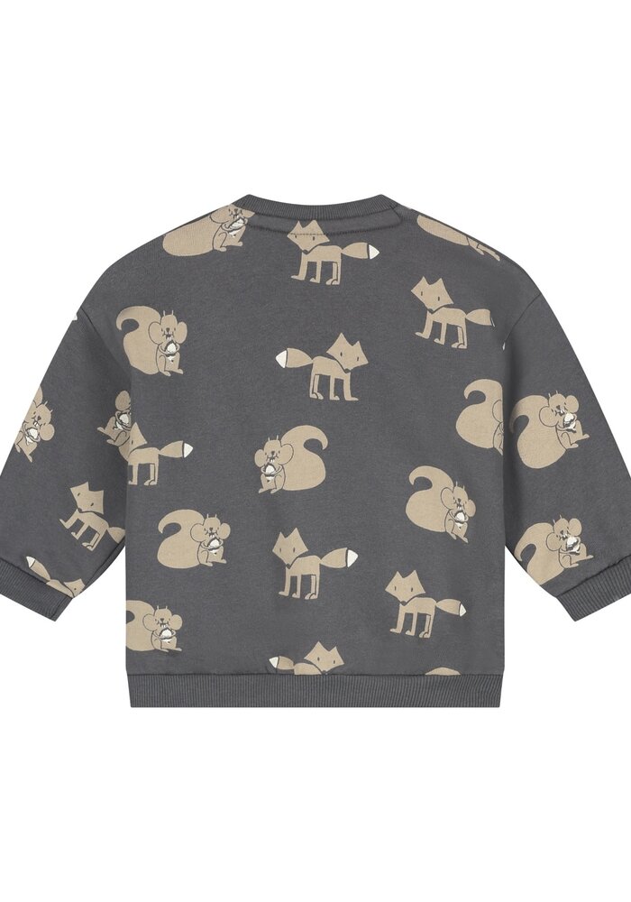 Babyface baby boys sweatshirt Antra