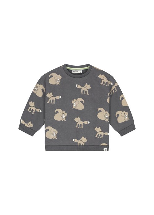 Babyface Babyface baby boys sweatshirt Antra