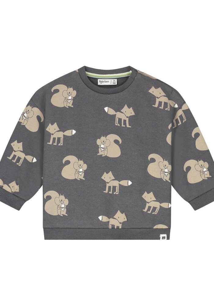 Babyface baby boys sweatshirt Antra
