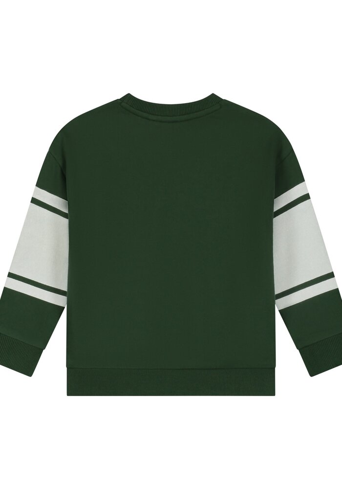 Stains and Stories boys sweatshirt Forest