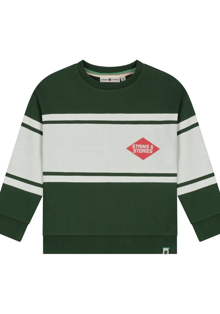 Stains and Stories boys sweatshirt Forest