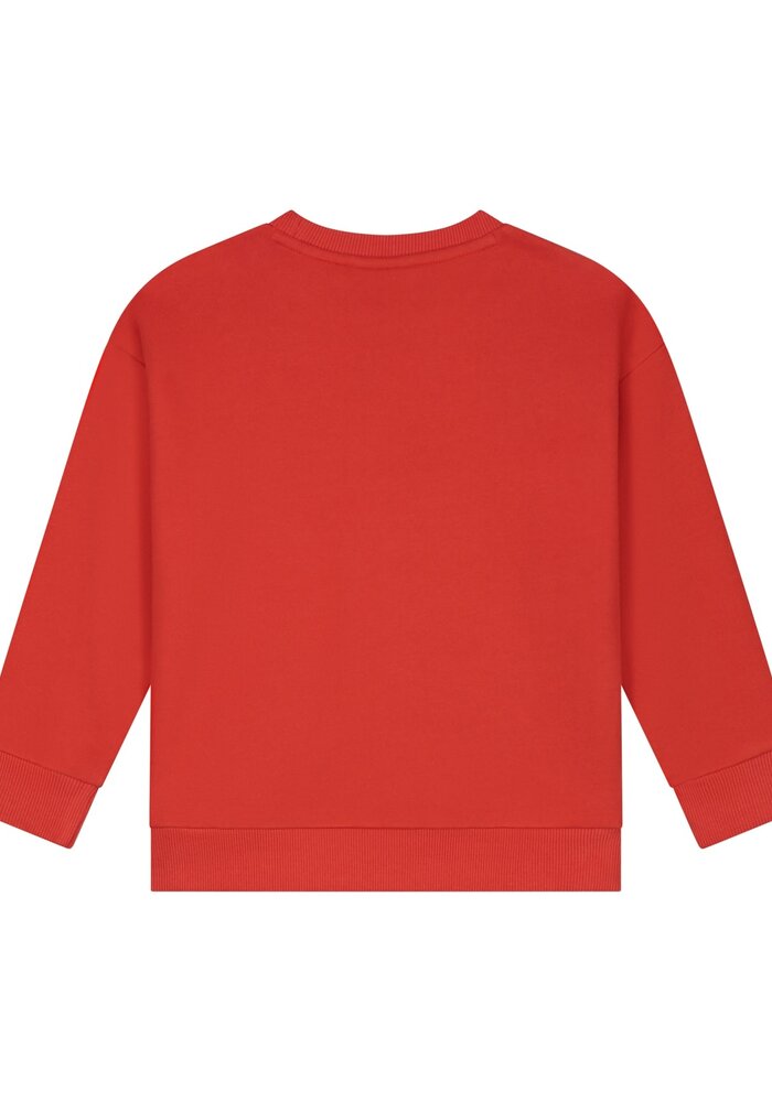 Stains and Stories boys sweatshirt Red |