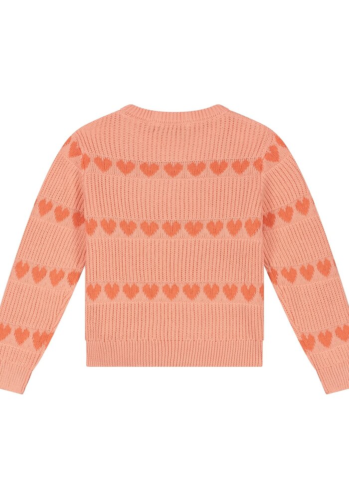 Stains and Stories girls pullover Salmon
