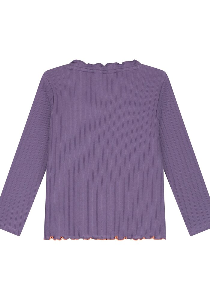 Stains and Stories girls t-shirt long sleeve Grape
