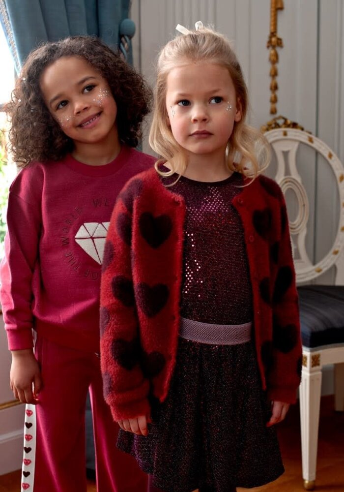 Jubel Longsleeve pailetten - Daily Princess Bordeaux
