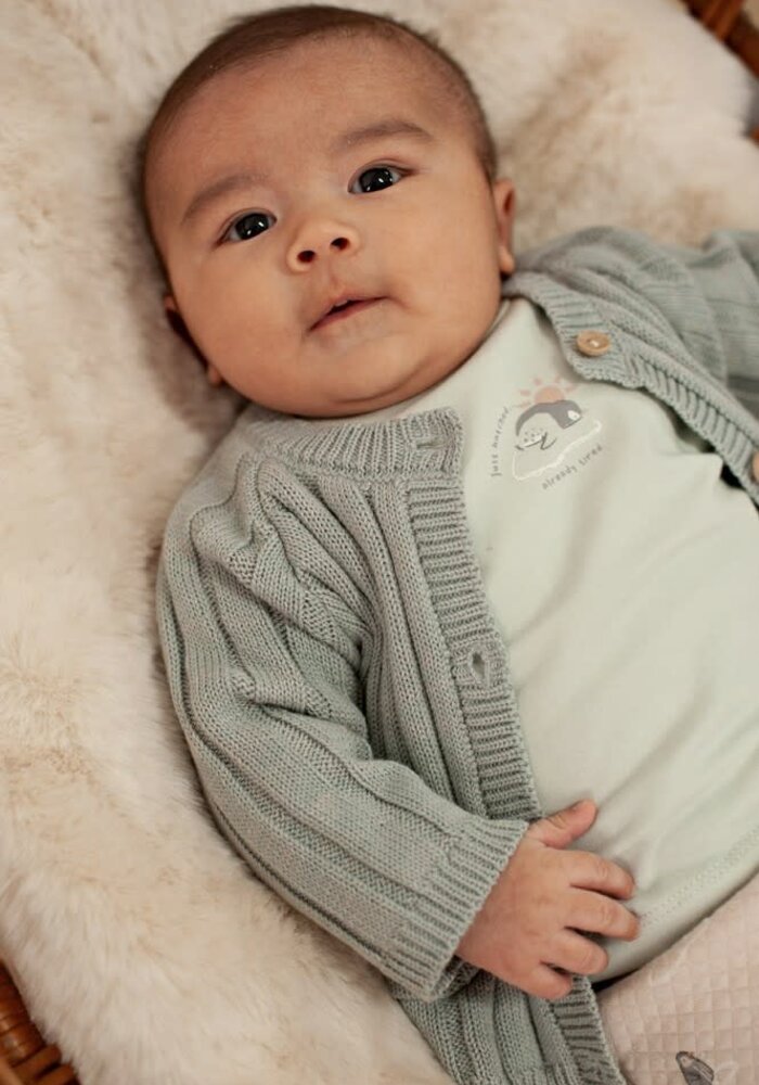 Feetje Longsleeve - Penguin Cuddles Mint