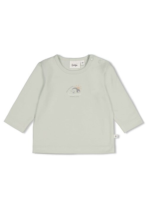 Feetje Feetje Longsleeve - Penguin Cuddles Mint