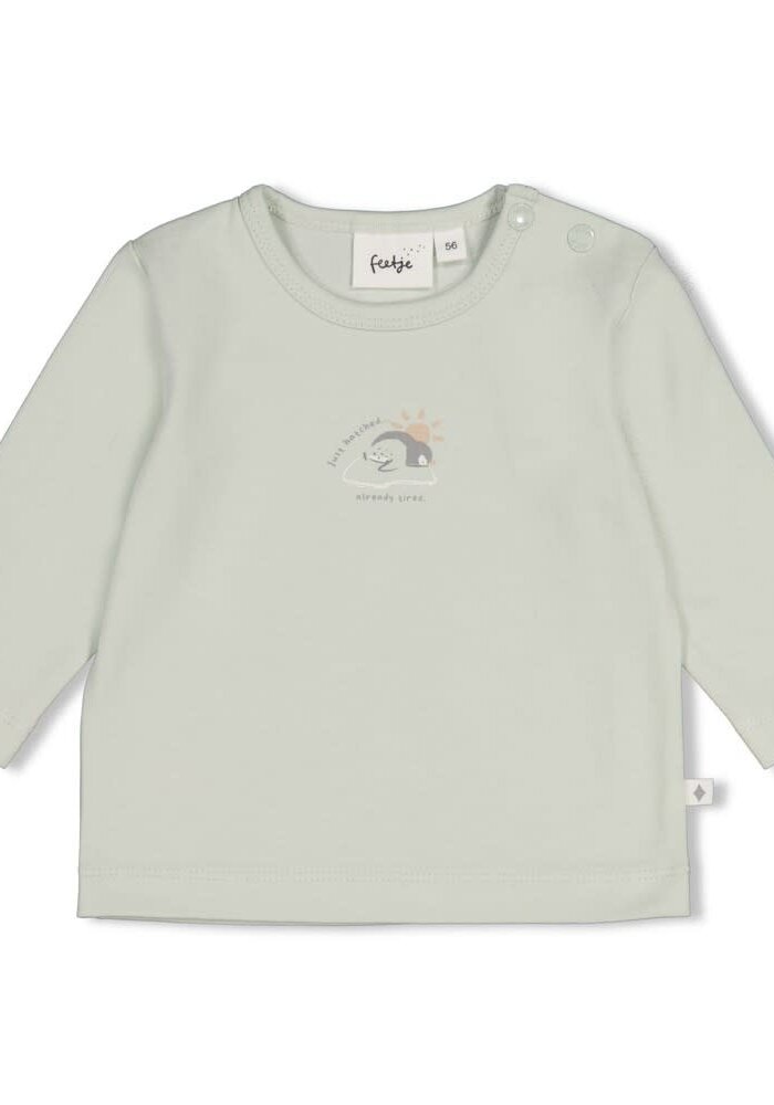 Feetje Longsleeve - Penguin Cuddles Mint