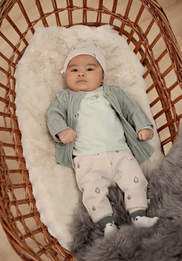 Feetje Longsleeve - Penguin Cuddles Mint