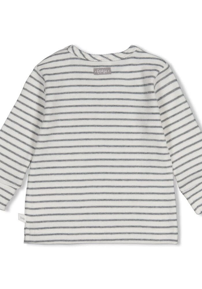 Feetje Longsleeve rib met streep - Penguin Cuddles Antraciet melange