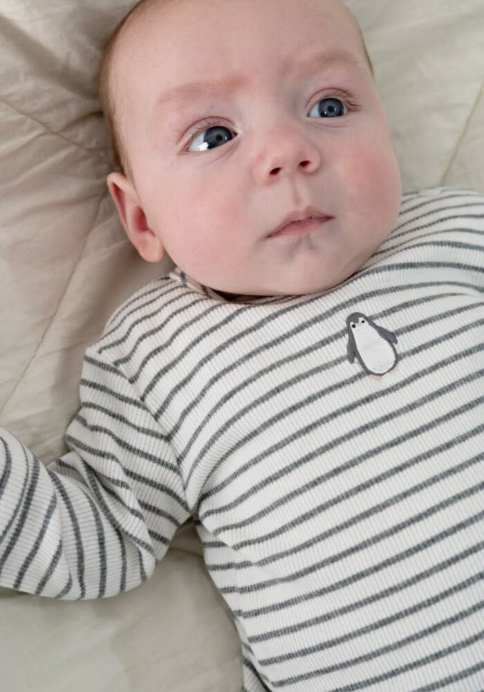 Feetje Longsleeve rib met streep - Penguin Cuddles Antraciet melange