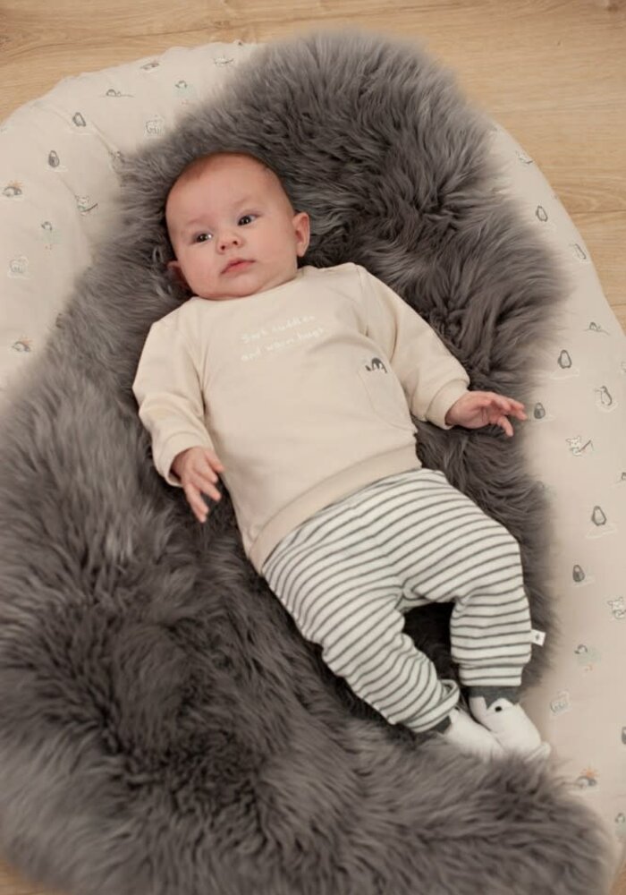 Feetje Broek rib met streep - Penguin Cuddles Antraciet melange