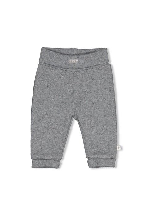 Feetje Feetje Broek ajour rib AO - Penguin Cuddles Antraciet melange
