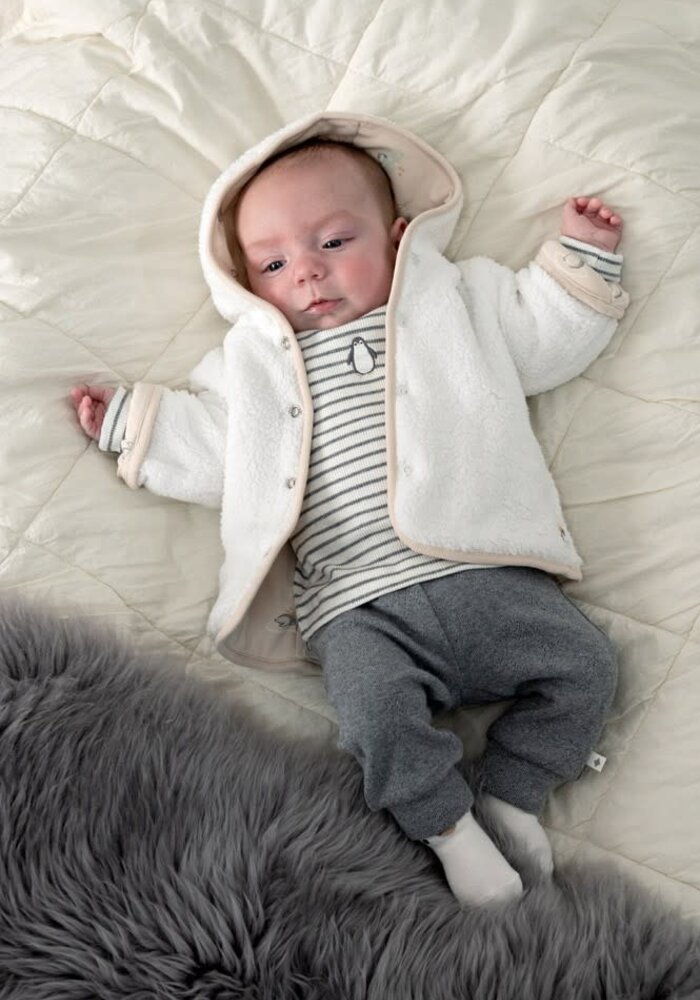 Feetje Broek ajour rib AO - Penguin Cuddles Antraciet melange