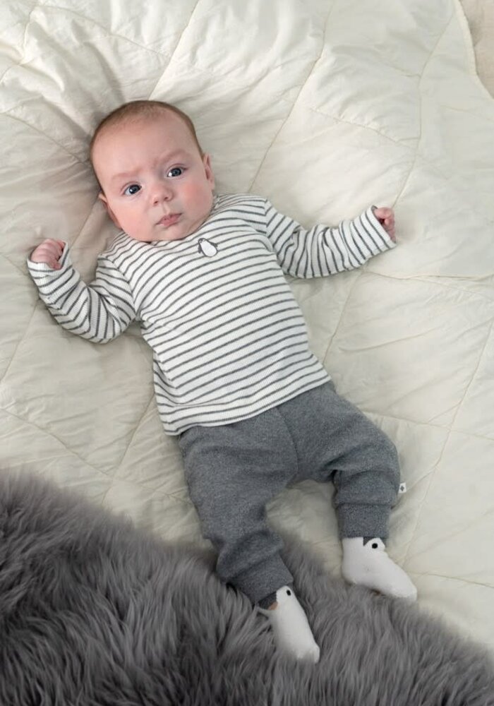 Feetje Broek ajour rib AO - Penguin Cuddles Antraciet melange