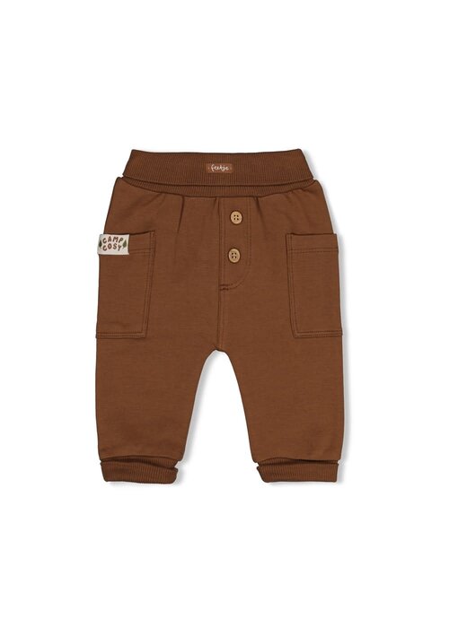 Feetje Feetje Broek - Tiny Timber Tales Bruin