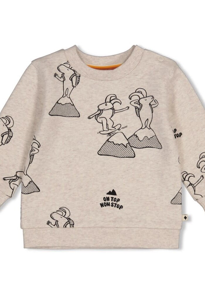Feetje Sweater AOP - Mountain Top Offwhite melange