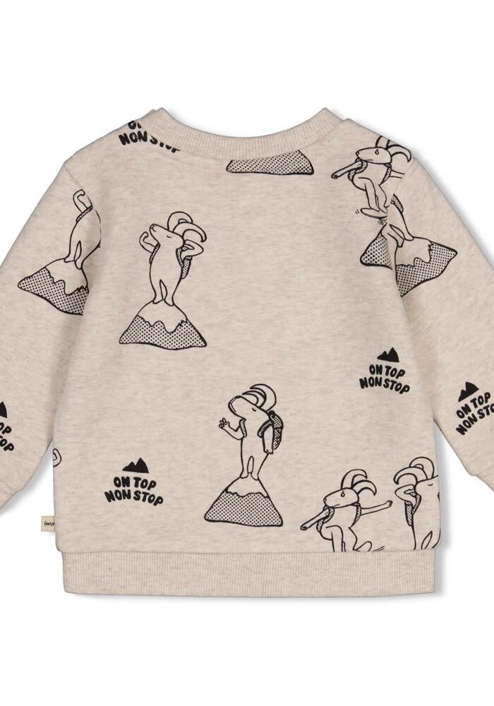Feetje Sweater AOP - Mountain Top Offwhite melange