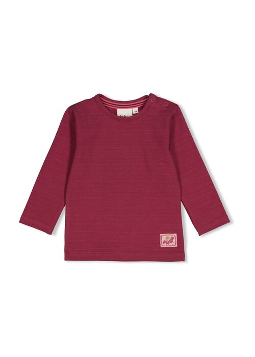 Feetje Feetje Longsleeve streep - Moon Flowers Mauve