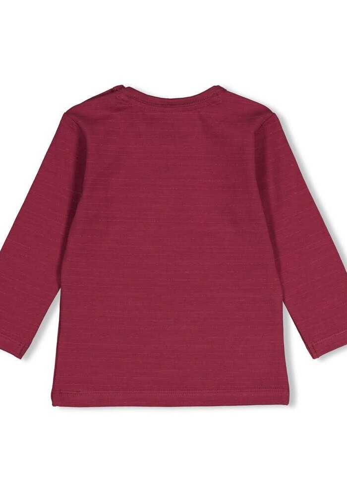 Feetje Longsleeve streep - Moon Flowers Mauve