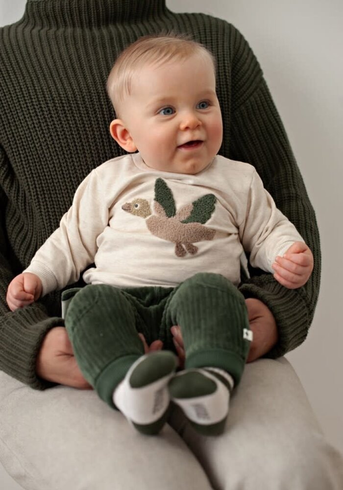 Feetje Broek velours rib - Wiggle and Waddle Groen