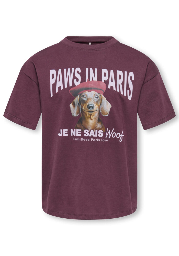 Only Kids KOGBILLY SS RELAX PRINT TEE JRS Fudge Paws