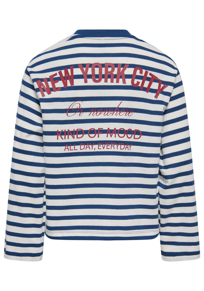 Only Kids KOGLIDA L/S STRIPE TOP JRS Cloud Dancer Navy Peony (Ida) Print Park