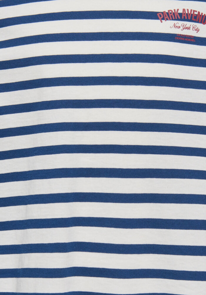 Only Kids KOGLIDA L/S STRIPE TOP JRS Cloud Dancer Navy Peony (Ida) Print Park