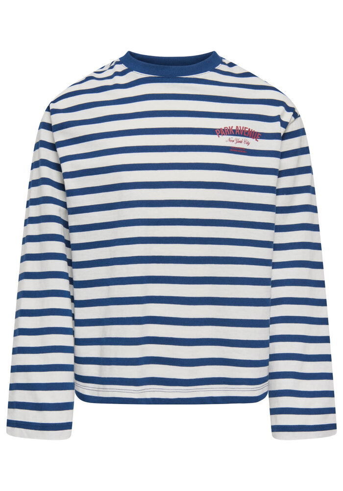 Only Kids KOGLIDA L/S STRIPE TOP JRS Cloud Dancer Navy Peony (Ida) Print Park