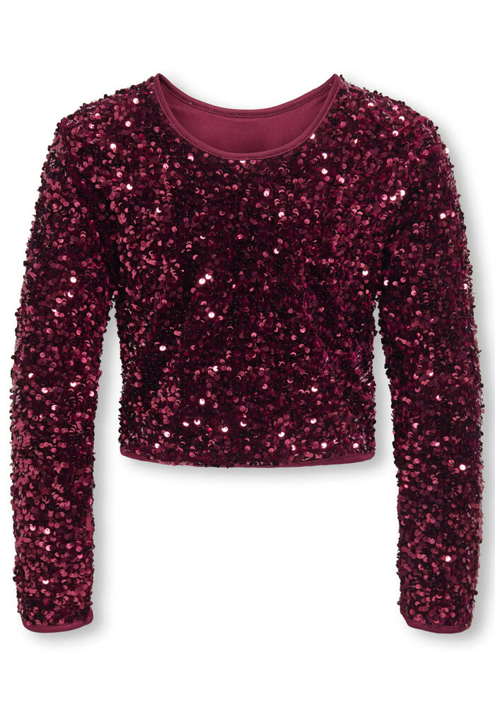 Only Kids KOGCONFIDENCE LS O-NECK TOP JRS Winetasting