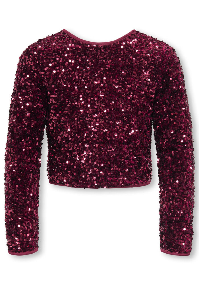 Only Kids KOGCONFIDENCE LS O-NECK TOP JRS Winetasting