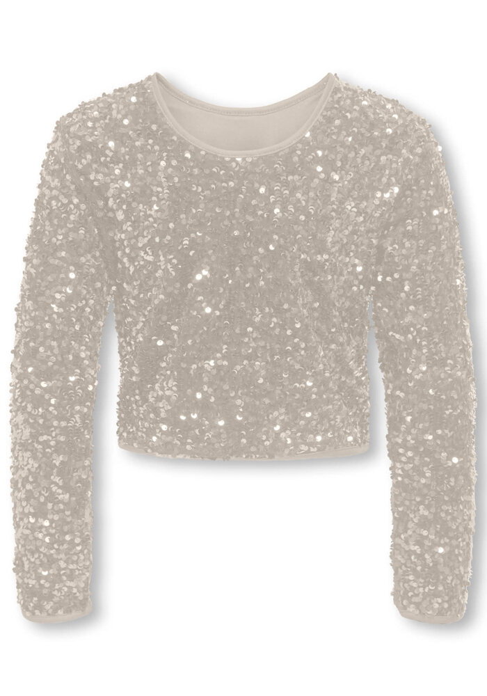 Only Kids KOGCONFIDENCE LS O-NECK TOP JRS Moonbeam