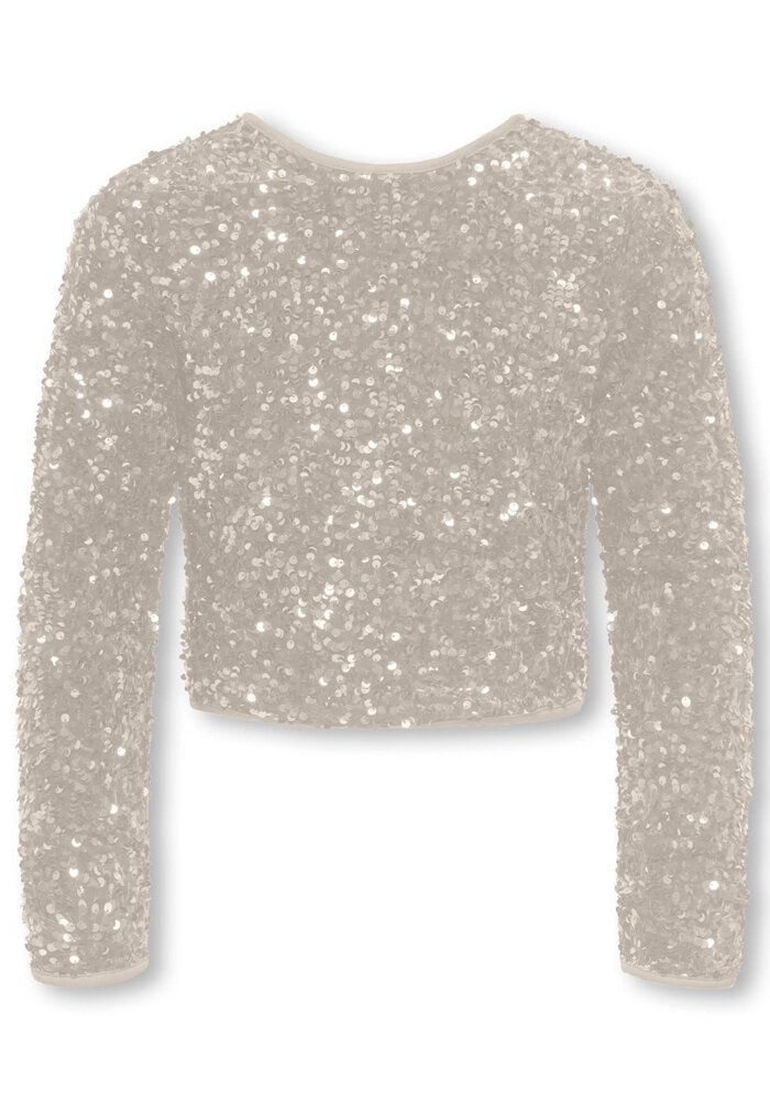 Only Kids KOGCONFIDENCE LS O-NECK TOP JRS Moonbeam