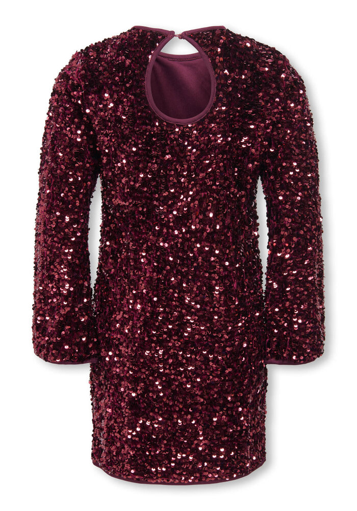 Only Kids KOGCONFIDENCE LS SEQ FLRD DRESS JRS Winetasting