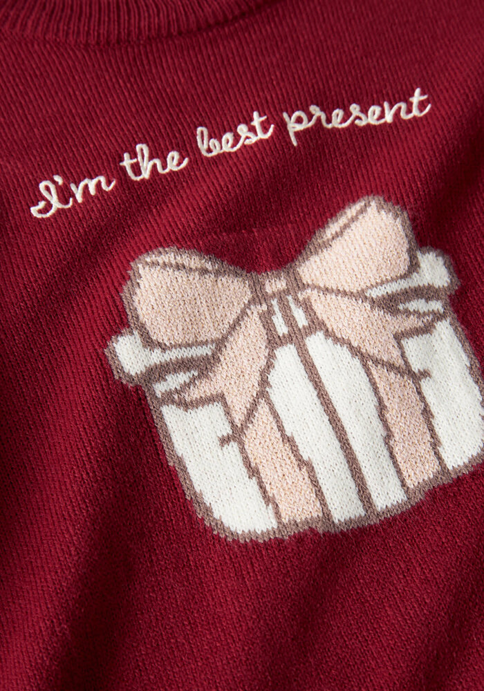 Name It NMFRISSE LS KNIT Red Dahlia