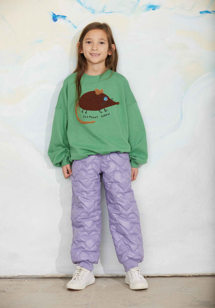 Mini Rodini Elephant shrew chenille sweatshirt Green